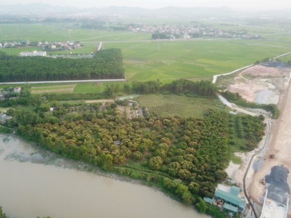 Chính chủ cần bán đất vườn cây 50 năm ngay khu Xuân Sơn, Kim Sơn